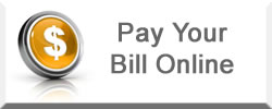 online payment